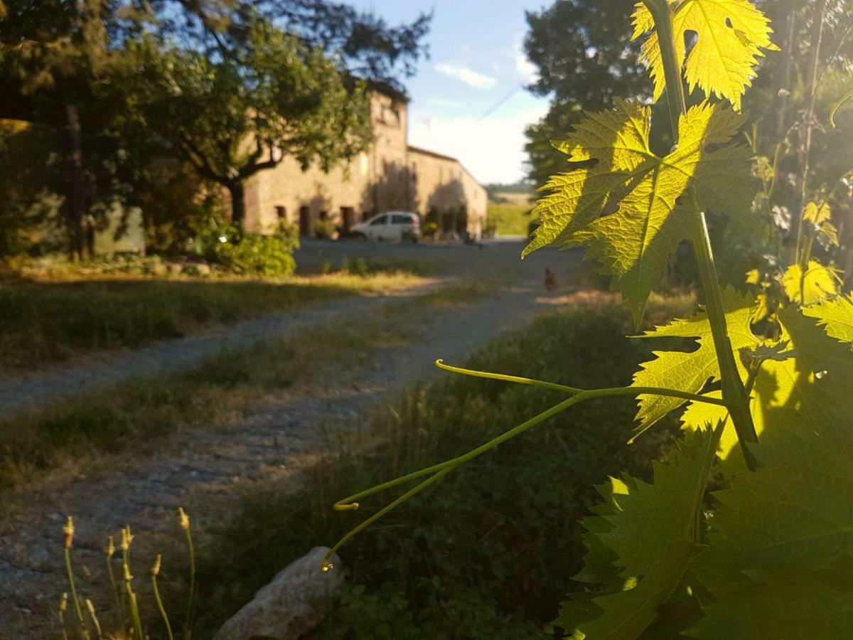 Agriturismo Podere Molino Peccioli Exteriér fotografie
