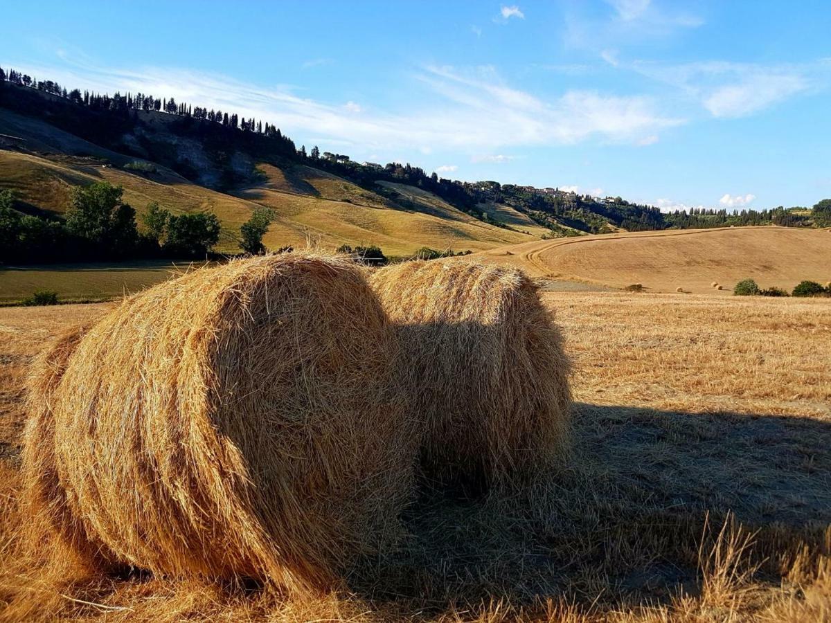 Agriturismo Podere Molino Peccioli Exteriér fotografie