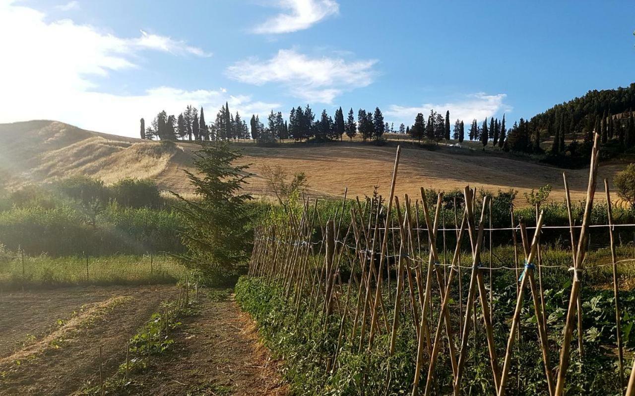 Agriturismo Podere Molino Peccioli Exteriér fotografie