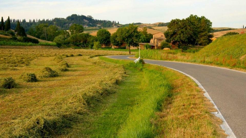Agriturismo Podere Molino Peccioli Exteriér fotografie