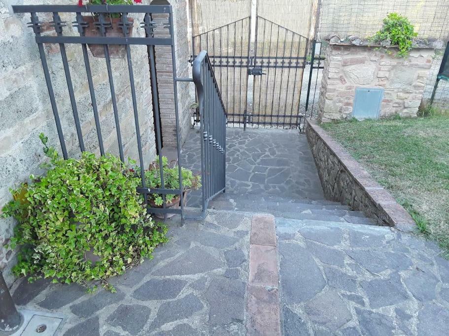 Agriturismo Podere Molino Peccioli Exteriér fotografie
