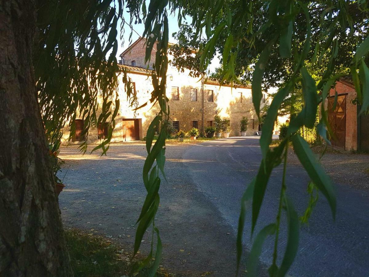 Agriturismo Podere Molino Peccioli Exteriér fotografie