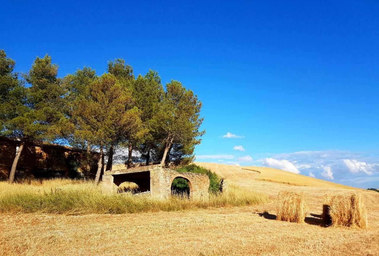 Agriturismo Podere Molino Peccioli Exteriér fotografie
