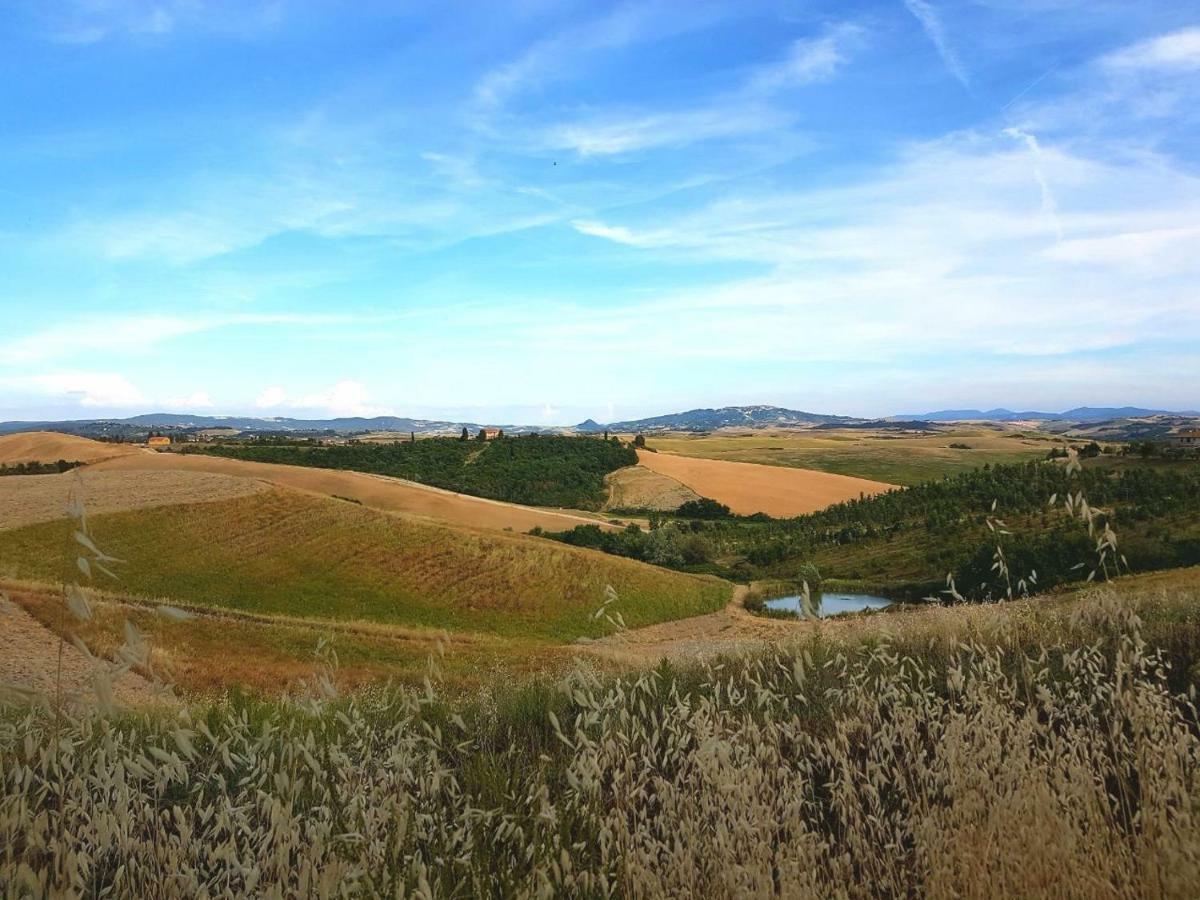 Agriturismo Podere Molino Peccioli Exteriér fotografie