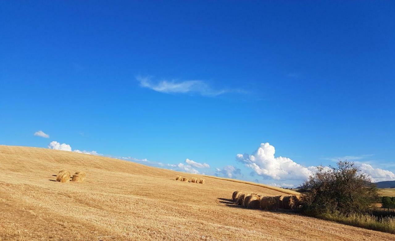 Agriturismo Podere Molino Peccioli Exteriér fotografie