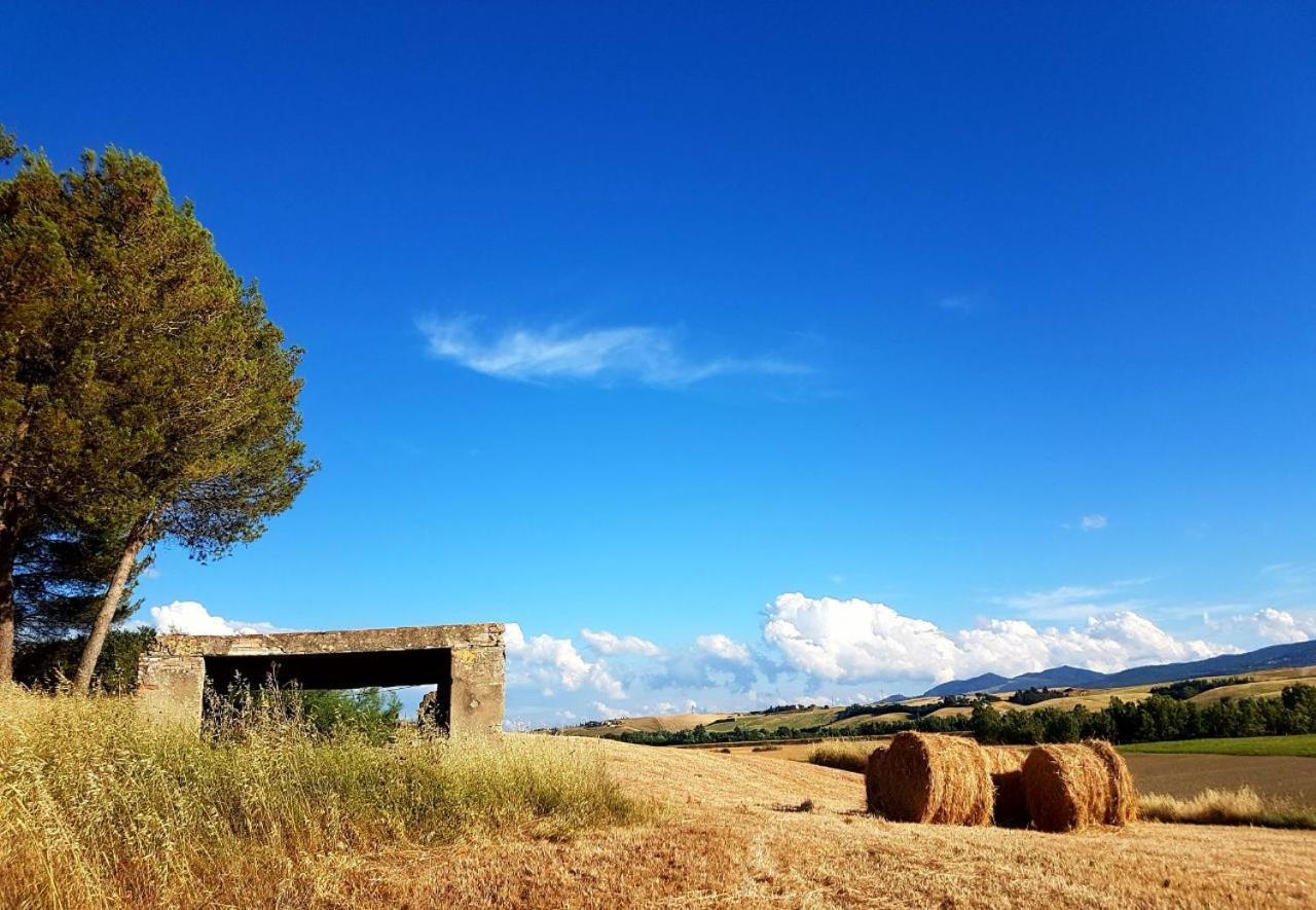 Agriturismo Podere Molino Peccioli Exteriér fotografie