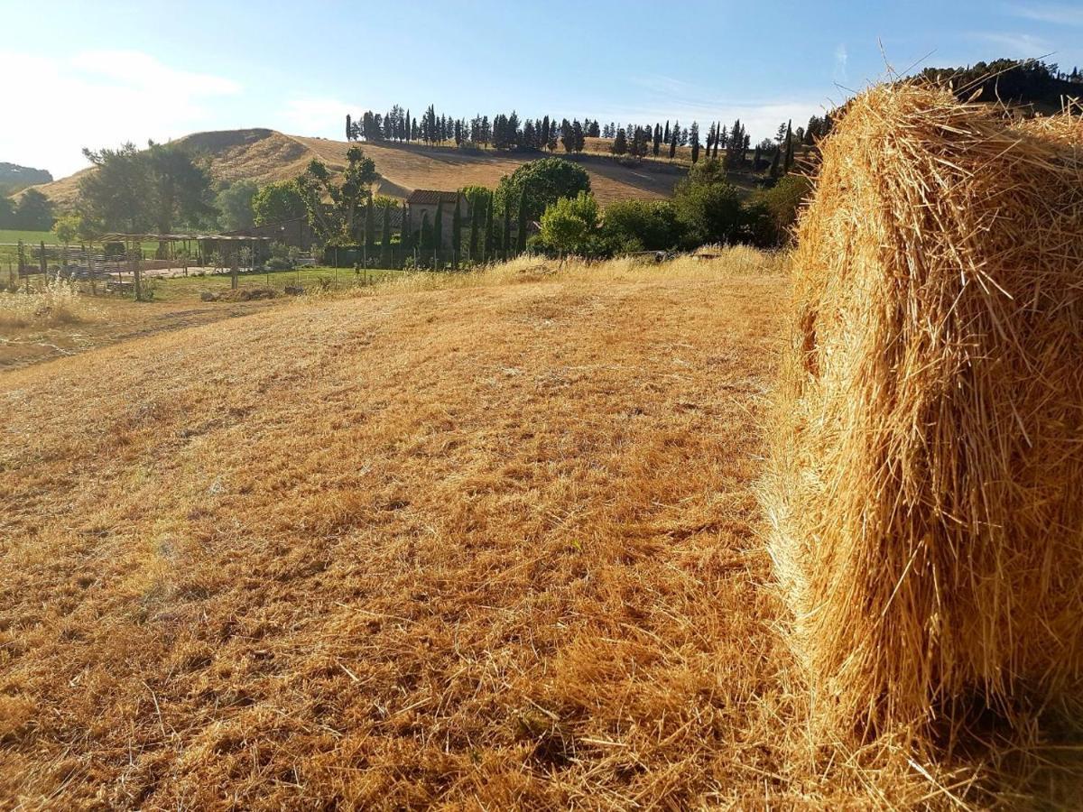 Agriturismo Podere Molino Peccioli Exteriér fotografie