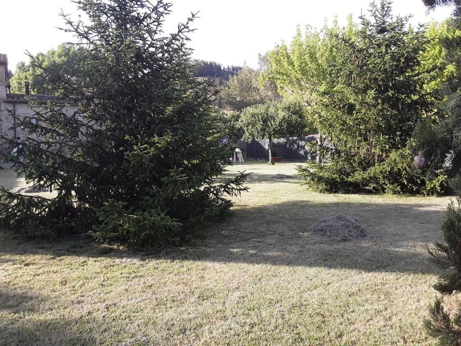 Agriturismo Podere Molino Peccioli Exteriér fotografie